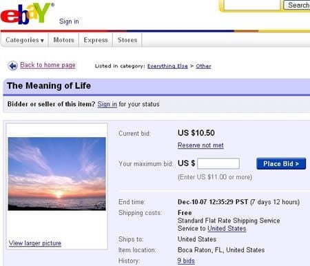 Leilão do ebay O significado da vida