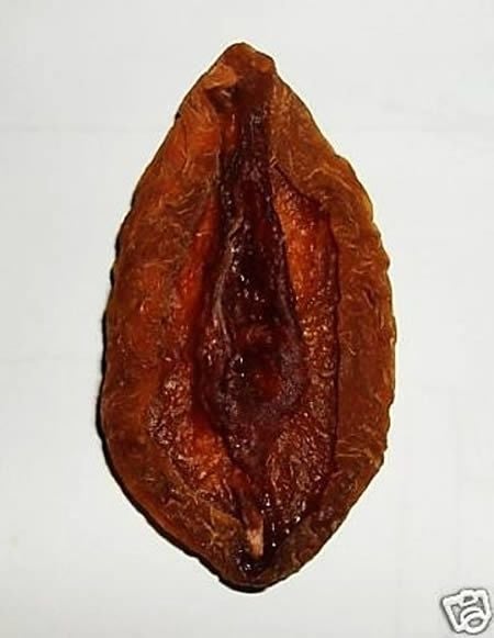 Leilão ebay Uma Vagina de Pêssego Seca