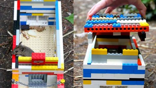 Playground para hamster de Lego