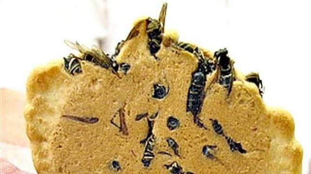 Pratos bizarros e nojentos biscoito de vespas