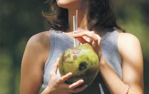 Coisas que podem acontecer com seu corpo se beber água de coco por duas semanas