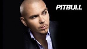 pitbull-rapper-590x442 pitbull-rapper-590x442