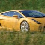 Leilão de dois Lamborghinis