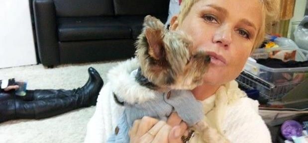 Xuxa revela que sonha em ser veterinária e morar no mato