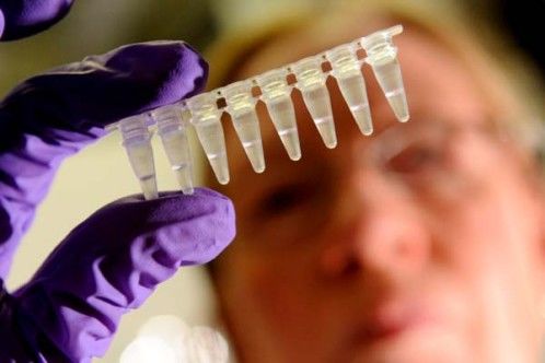 Cientista cria versão do vírus H1N1 (gripe suína) resistente ao sistema imunológico humano