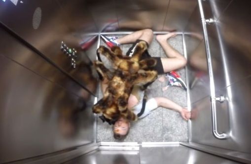 Spider-Dog? Pegadinha do 'Cachorro-Aranha' assusta pedestres e faz sucesso na internet