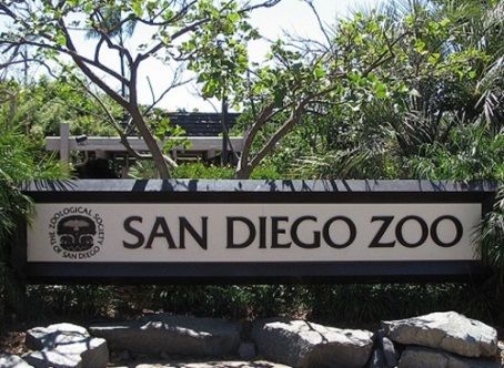 Lista reúne alguns dos mais imperdíveis jardins zoológicos do planeta - veja