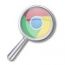 Baixar iZoom para Google Chrome