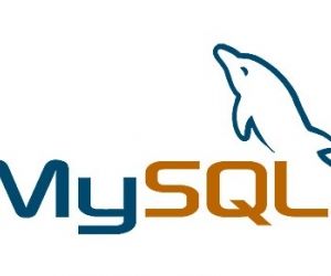 Baixar MySQL for Windows