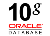 Baixar Oracle 10g Express Edition