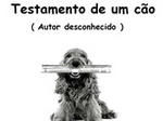 Testamento de um Cão 1