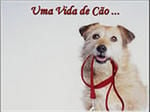 Uma Vida de Cão