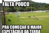 Competição do Limão