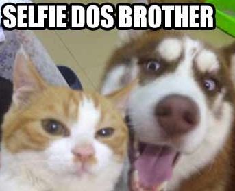 Selfie dos Brother