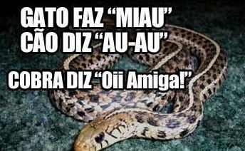 Cobra Diz 