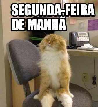 Segunda-feira de Manhã