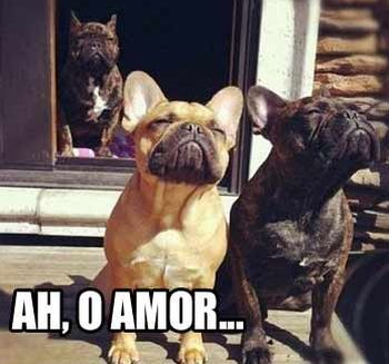 Ah, o Amor…