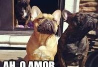 Ah, o Amor…