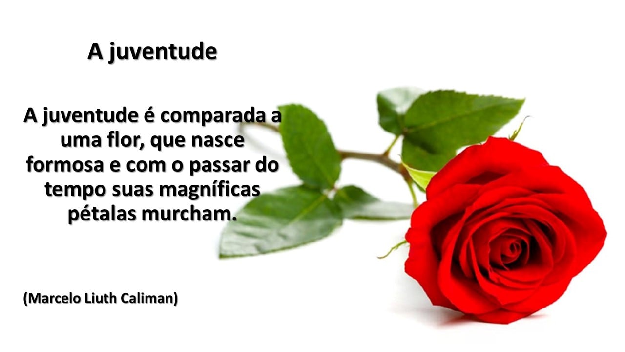 A Juventude