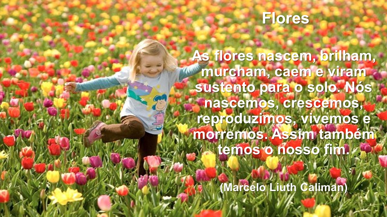 Flores