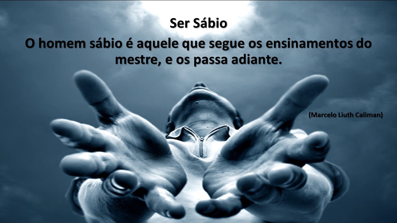 Ser Sábio