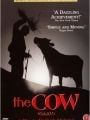 A Vaca - Cartaz do Filme