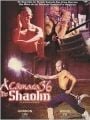 A Câmara 36 de Shaolin - Cartaz do Filme
