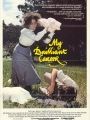 My Brilliant Career - Cartaz do Filme