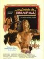 Nos Embalos de Ipanema - Cartaz do Filme