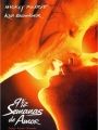 9 1/2 Semanas de Amor - Cartaz do Filme