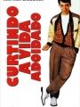 Curtindo A Vida Adoidado - Cartaz do Filme