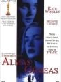 Almas Gêmeas - Cartaz do Filme