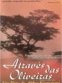Através das Oliveiras - Cartaz do Filme
