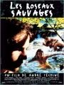 Rosas Selvagens - Cartaz do Filme