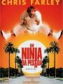 Um Ninja da Pesada - Cartaz do Filme