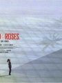 Pão e Rosas - Cartaz do Filme