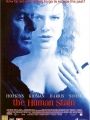 Revelações - Cartaz do Filme