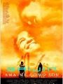 Gaijn - Ama-me Como Sou - Cartaz do Filme