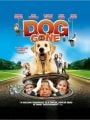 Confusão Pra Cachorro - Cartaz do Filme