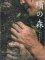 Floresta dos Lamentos - Cartaz do Filme