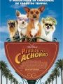 Perdido Pra Cachorro - Cartaz do Filme