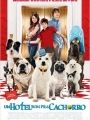 Um Hotel Bom Pra Cachorro - Cartaz do Filme