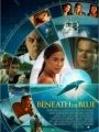 Operação: Salvem Os Golfinhos - Cartaz do Filme