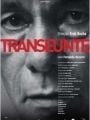 Transeunte - Cartaz do Filme
