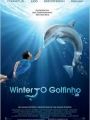 Winter, O Golfinho - Cartaz do Filme