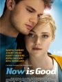 Now Is Good - Cartaz do Filme