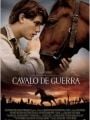 Cavalo de Guerra - Cartaz do Filme