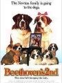 Beethoven 2 - Cartaz do Filme