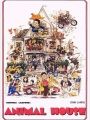 Clube dos Cafajestes - Cartaz do Filme