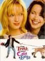 Feito Cães e Gatos - Cartaz do Filme